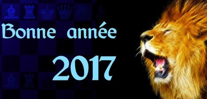 Bonne Année 2017