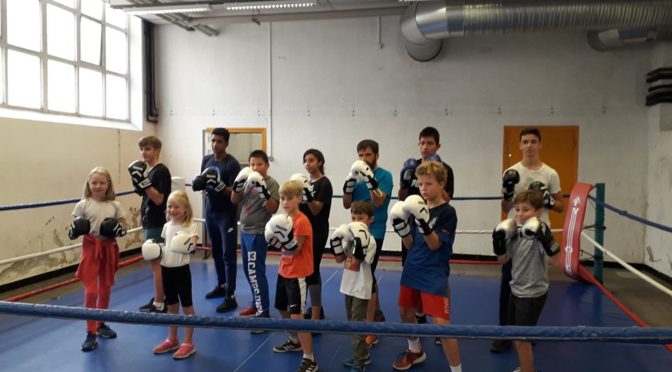 Boxe sur l’Echiquier